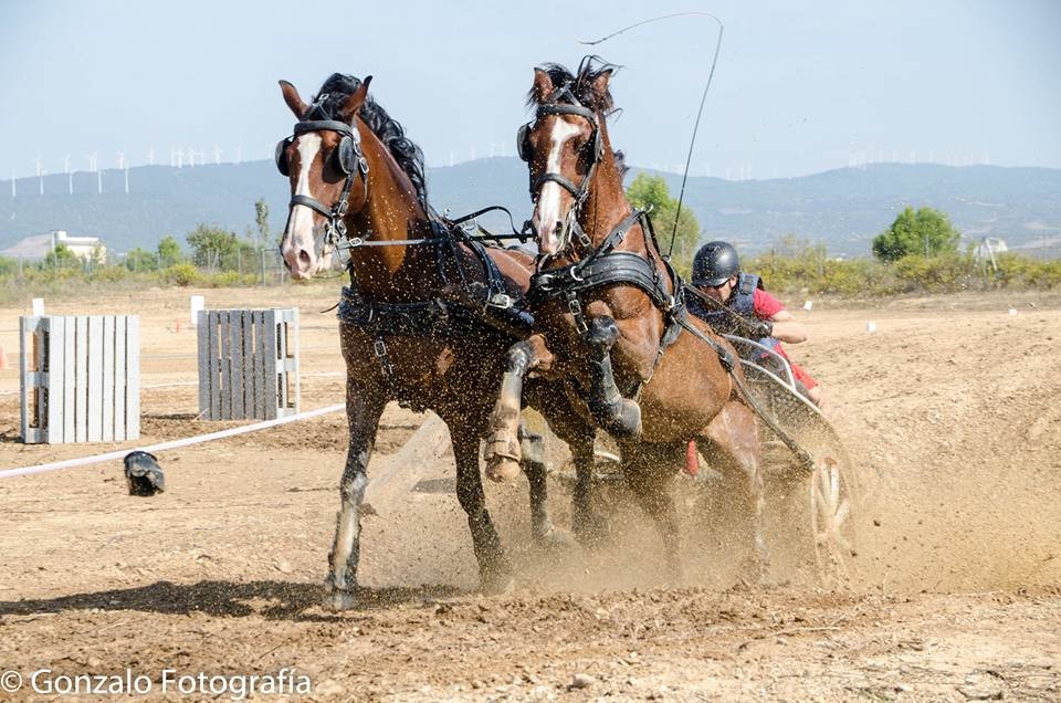 David Aramendía y Carmen Goiburu, Campeones Navarros de Enganches Completo en Troncos y Limoneras